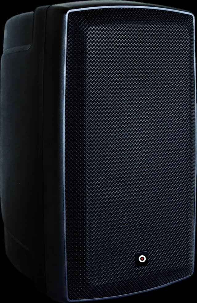 SSOUNDS P10T point source loudspeaker, view 2 of 3